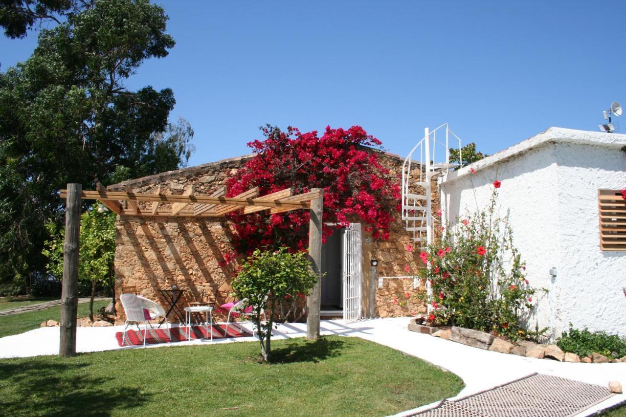 Montrás Le Rondini B&B 외부 사진