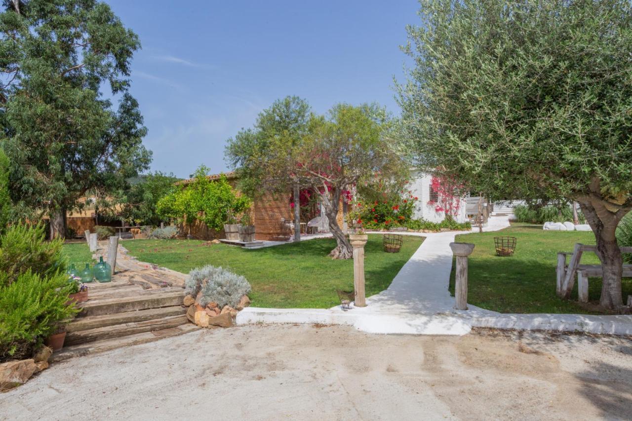 Montrás Le Rondini B&B 외부 사진